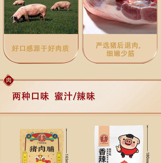 广东老字号广御园食品濠礼记香辣肉脯80g*3 商品图7