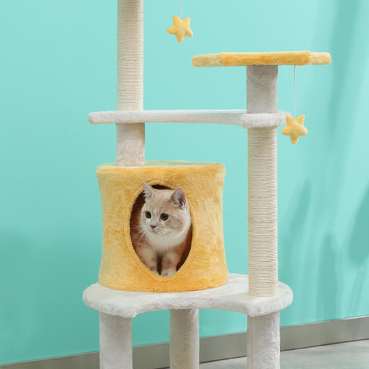 伊丽星辰猫爬架 商品图1