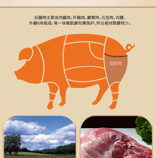 广东老字号广御园食品濠礼记香辣肉脯80g*3 商品图6