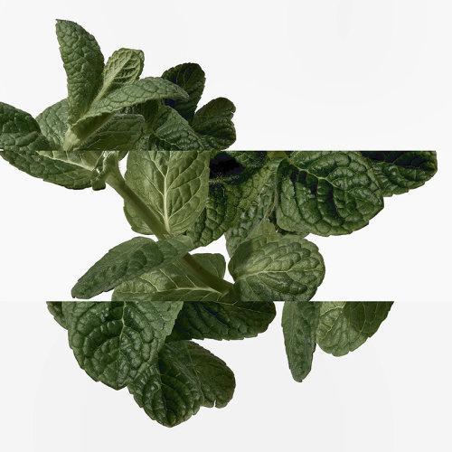 Hermes爱马仕橘绿之泉男士古龙水 EDC香水50-100-200ml 商品图2