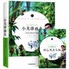 (仓发) 小英雄雨来 快乐读书吧六年级上册阅读小学生三四五六年级课外阅读书籍全本世界名著无删减无障碍青少年儿童文学读物故事书/应急管理出版社/管桦/9787502080235 商品缩略图0