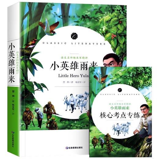 (仓发) 小英雄雨来 快乐读书吧六年级上册阅读小学生三四五六年级课外阅读书籍全本世界名著无删减无障碍青少年儿童文学读物故事书/应急管理出版社/管桦/9787502080235 商品图0