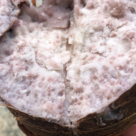 广西特产【正宗荔浦芋头】粉糯香甜 “芋”罢不能 乾隆钦点 原产地直发！ 商品图6