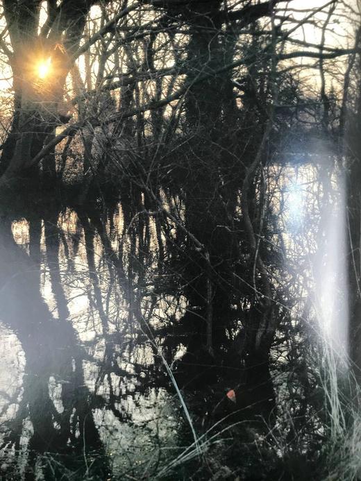 亨利·摩尔工作摄影图集 数百幅插图 精装16开 商品图6