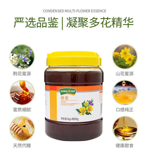 汪氏蜂蜜2.5kg 商品图2