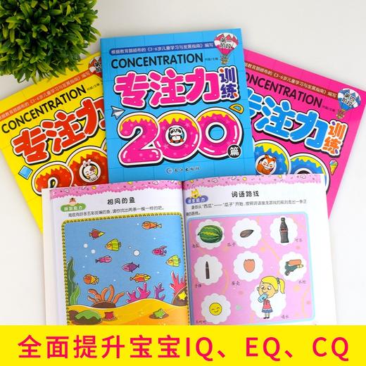 学前专注力训练全4册幼儿童思维专注力训练200篇2-3-4-5-6岁儿童记忆注意力观察力潜能开发宝宝左右脑早教启蒙益智游戏找不同书籍 商品图2