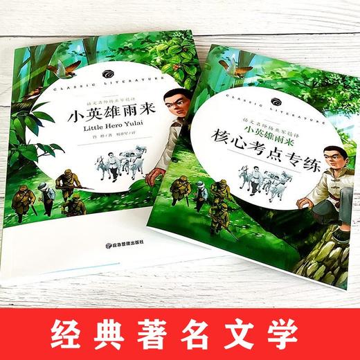 (仓发) 小英雄雨来 快乐读书吧六年级上册阅读小学生三四五六年级课外阅读书籍全本世界名著无删减无障碍青少年儿童文学读物故事书/应急管理出版社/管桦/9787502080235 商品图1