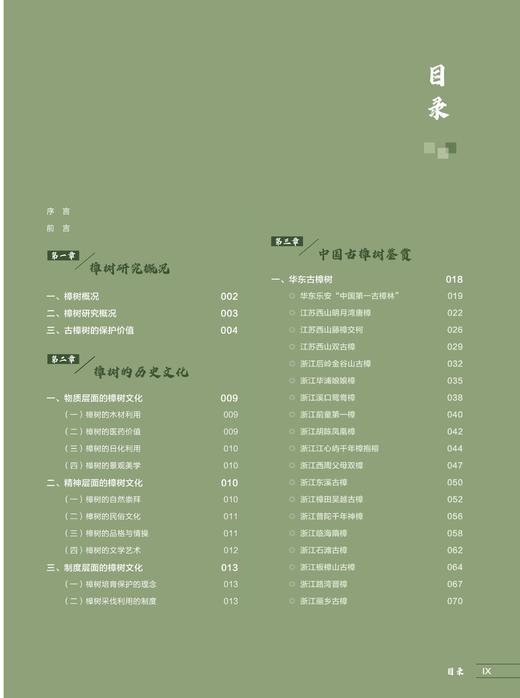 中国古樟1671
 商品图1