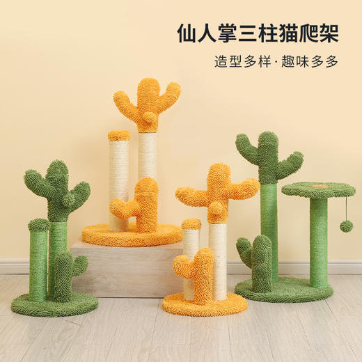 伊丽仙人掌猫爬架 商品图0