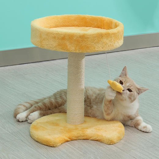 伊丽星辰猫爬架 商品图8