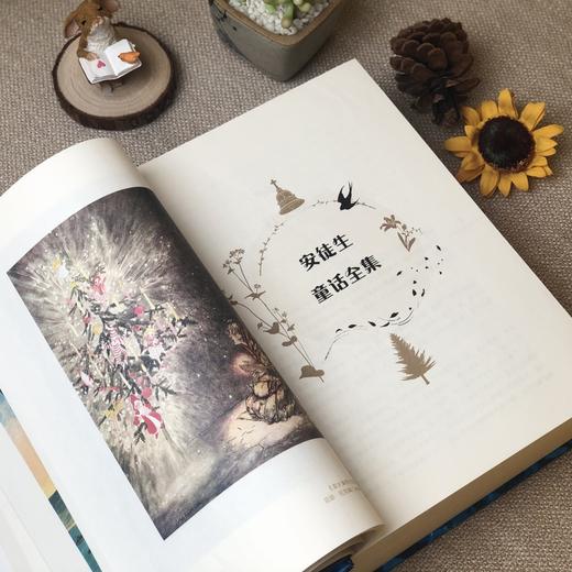 《安徒生童话全集 》经典译本珍藏版 商品图3