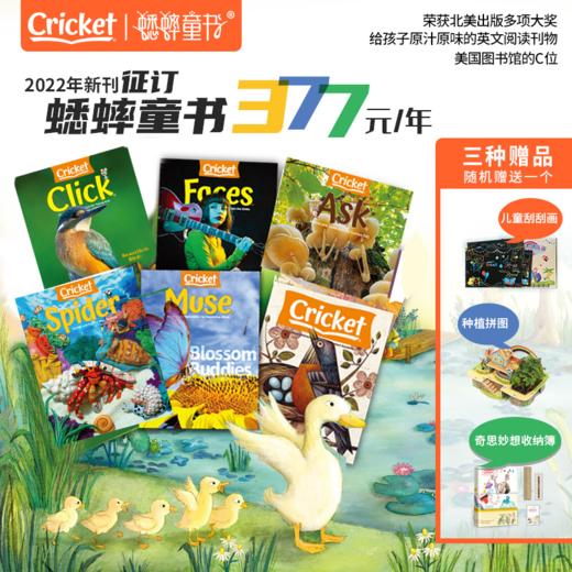 【尹建莉专属】蟋蟀杂志  英文原版杂志期刊 商品图0