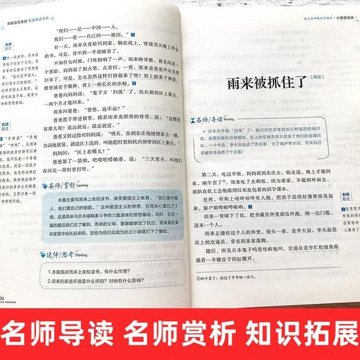 (仓发) 小英雄雨来 快乐读书吧六年级上册阅读小学生三四五六年级课外阅读书籍全本世界名著无删减无障碍青少年儿童文学读物故事书/应急管理出版社/管桦/9787502080235 商品图3