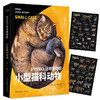 PNSO动物博物馆 小型猫科动物 6岁+ 杨杨 著 科普百科 商品缩略图2