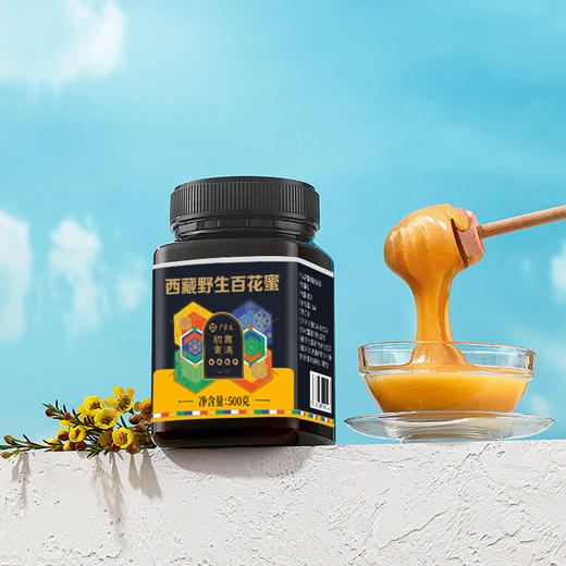 广誉远 西藏野生百花蜜 纯正无添加 天然蜂蜜 500g/瓶 商品图5