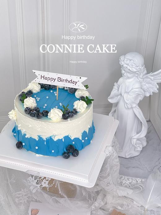 【0949】蓝莓简约水果款 商品图1