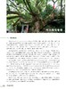 中国古樟1671
 商品缩略图5
