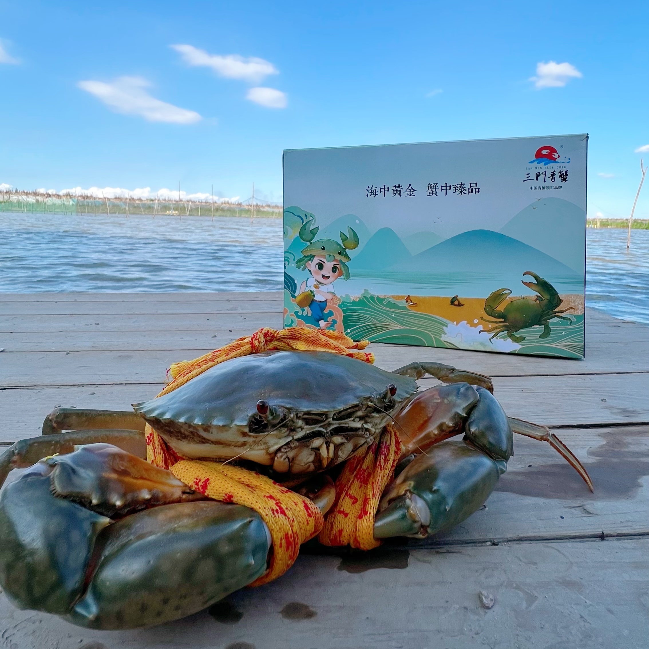 三门青蟹 原产地顺丰发货