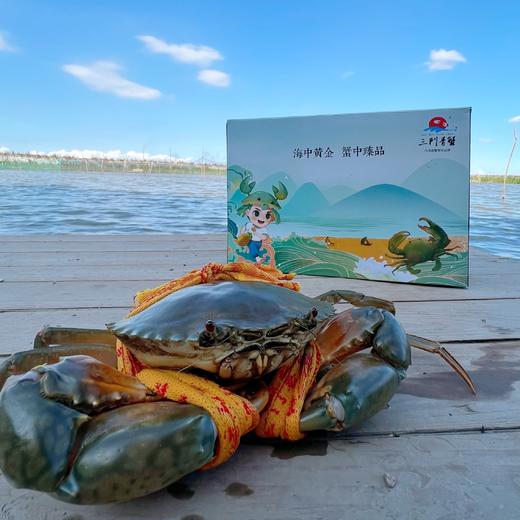 三门青蟹 原产地顺丰发货 商品图0