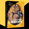 PNSO动物博物馆 小型猫科动物 6岁+ 杨杨 著 科普百科 商品缩略图1