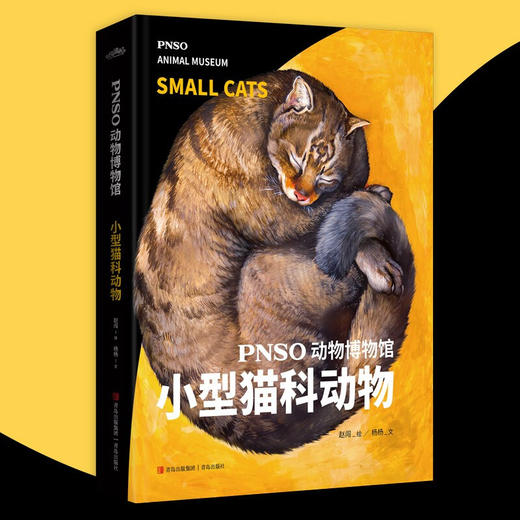 PNSO动物博物馆 小型猫科动物 6岁+ 杨杨 著 科普百科 商品图1