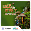 【南京】给您添“蘑菇”啦—孢子的繁殖 商品缩略图0