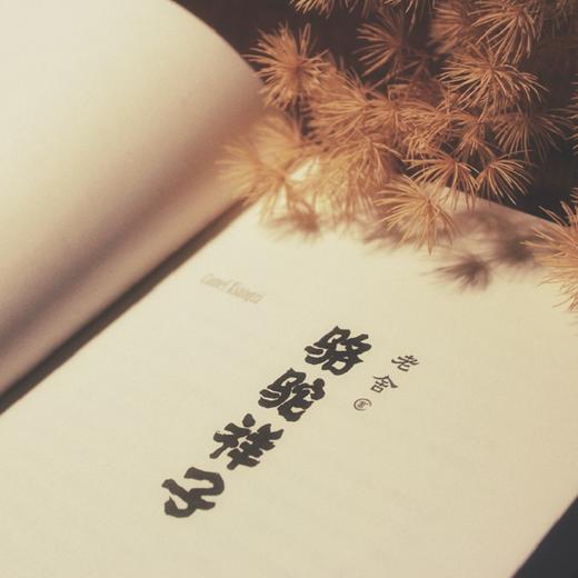 骆驼祥子 老舍 著 文学 商品图1
