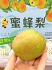 蜜蜂梨一箱（拼团） 商品缩略图2
