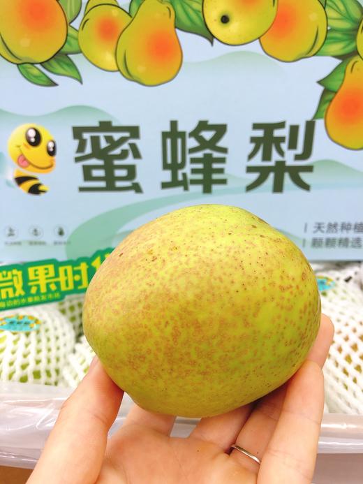 蜜蜂梨一箱（拼团） 商品图2