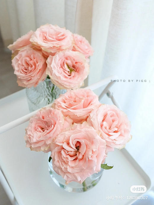 PRINCESS CROWN皇冠公主厄瓜多尔玫瑰花9支 商品图2