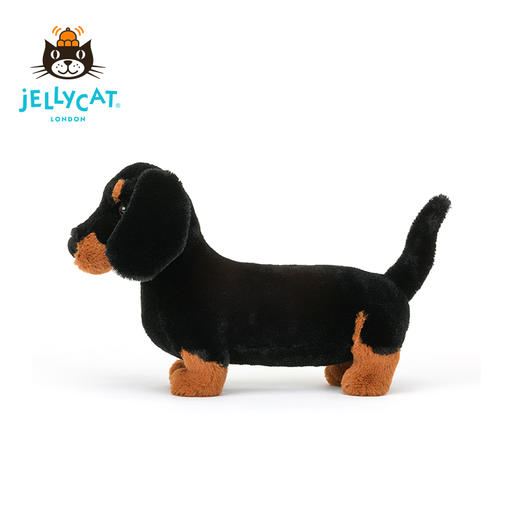Jellycat 弗雷迪腊肠犬 商品图4