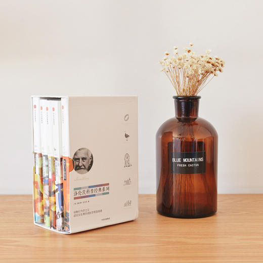 洛伦茨科普经典系列 商品图1