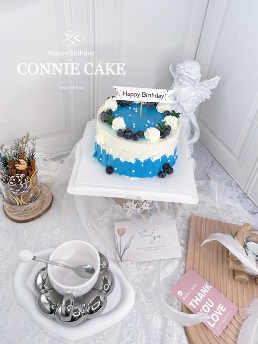 【0949】蓝莓简约水果款 商品图4