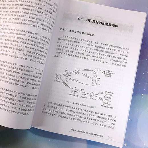 多环芳烃的微生物降解 商品图7