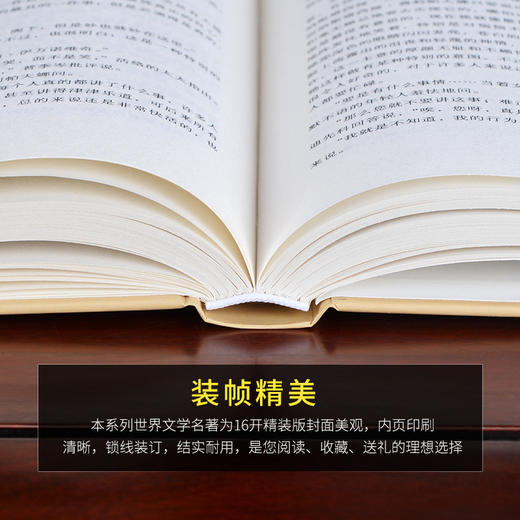 (仓发) 白痴（套装上下册 世界文学名著 名家名译 全译本）/西安交通大学出版社/〔俄罗斯〕陀思妥耶夫斯基/9787560577029 商品图2