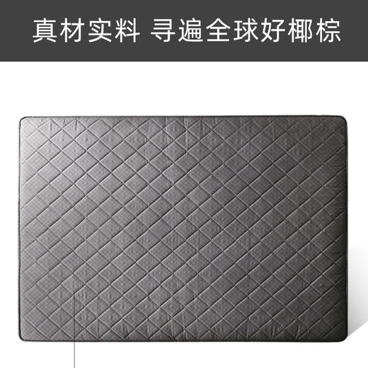 开学季特惠 90CM大中学生护脊“棕”师椰棕可折叠床垫 商品图1