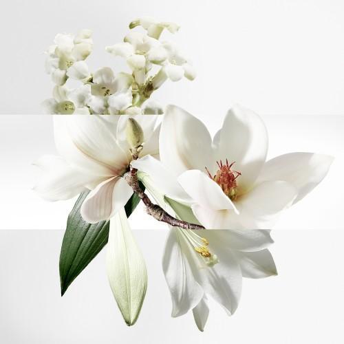 HERMES/爱马仕 威尼斯泻湖花园中性淡香水 EDT 50-100ML 商品图3