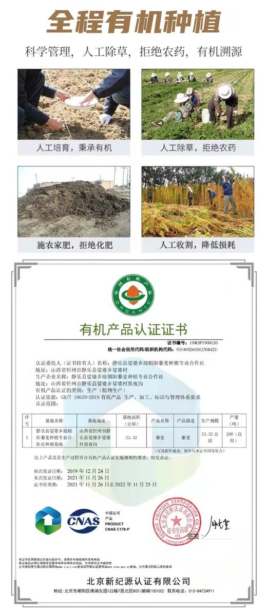 藜源世嘉 有机白藜麦 500g/袋 商品图3