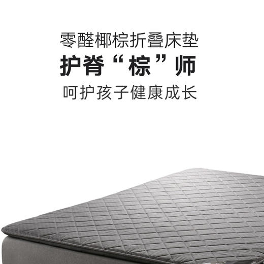 开学季特惠 90CM大中学生护脊“棕”师椰棕可折叠床垫 商品图2