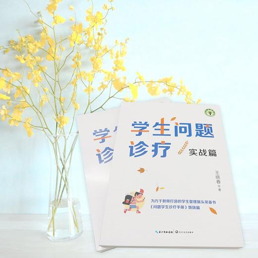 (仓发) 学生问题诊疗·实战篇（大教育书系）/长江文艺出版社/王晓春/9787570221837 商品图2