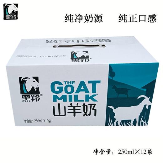 黑羚 • 山羊奶250ml*12袋 商品图5
