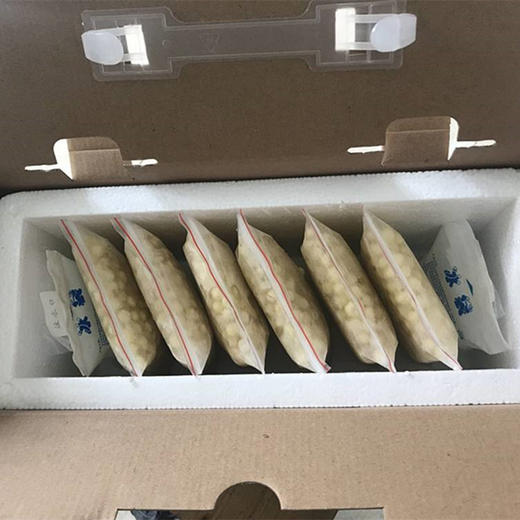 丨生态丨水八仙鲜鸡头米400g 芡实  收到记得冰箱冷冻 商品图13