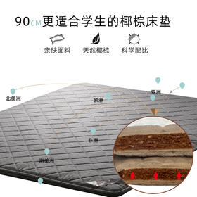 开学季特惠 90CM大中学生护脊“棕”师椰棕可折叠床垫