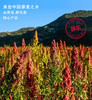 藜源世嘉 有机白藜麦 500g/袋 商品缩略图7
