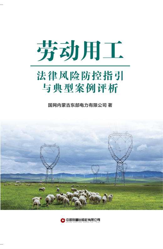 劳动用工法律风险防控指引与典型案例评析 商品图1