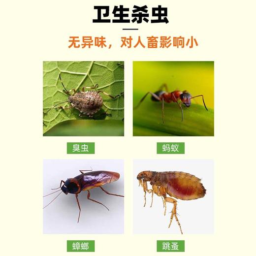 呋虫胺（升级版）种植园艺卫生杀虫防治介壳虫蚜虫小黑飞蓟马跳甲 商品图3