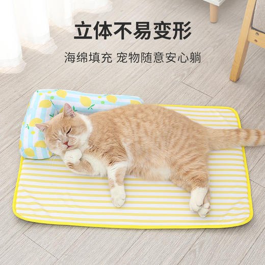 伊丽春夏款垫子 商品图8