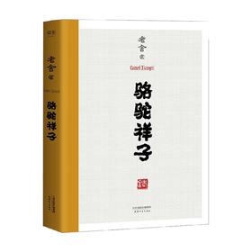 骆驼祥子 老舍 著 文学