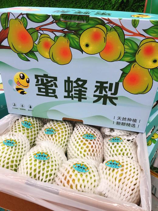 蜜蜂梨一箱（拼团） 商品图1