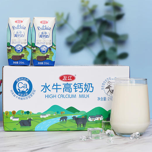 左江 高钙水牛奶210ml*10盒 商品图2